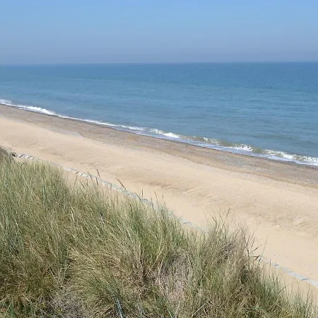 Driftwood * Elslack